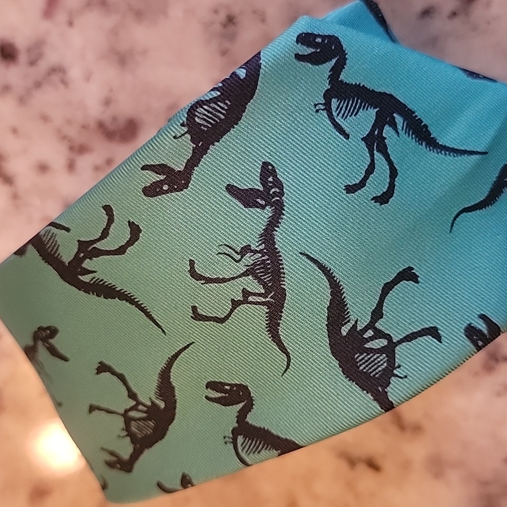 Wembley 48" Kids Boys Teal Dinosaur Fossil Pattern Tie